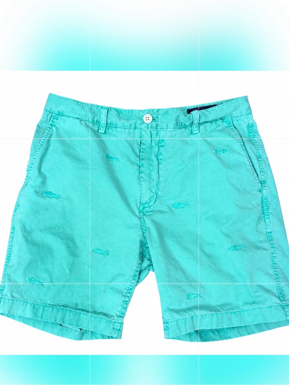 Vineyard Vines Men’s Turquoise Embroidered Whale Flat-Front Shorts